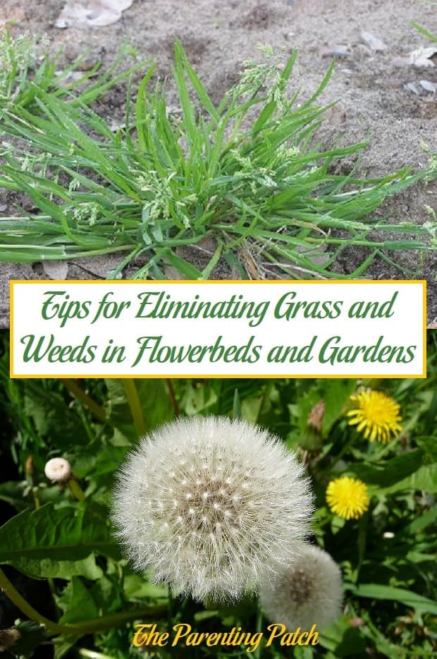 Tips for Eliminating Grass and Weeds in Flowerbeds and Gardens