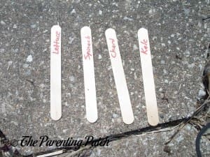 Popsicle Stick Garden Markers