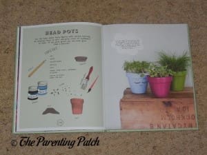 Inside Pages of 'Let's Garden: A Step by Step Introduction' 2