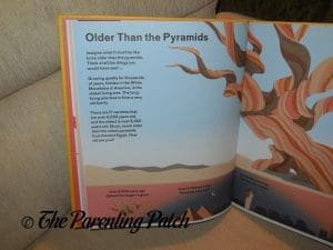 Inside Pages of 'How Big Is Big? How Far Is Far? All Around Me' 2