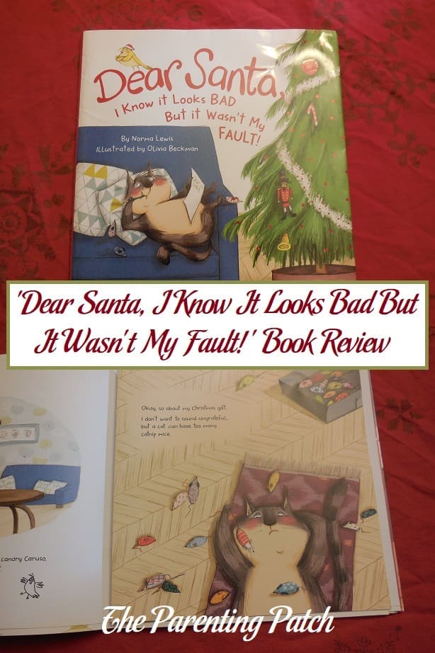 'Dear Santa, I Know It Looks Bad But It Wasn't My Fault!' Book Review