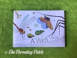 Front Cover of 'A Web'