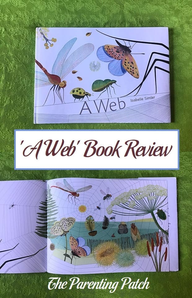 'A Web' Book Review