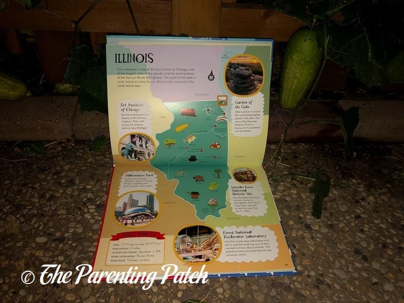 Inside Pages of 'My First Atlas of the 50 States' 2