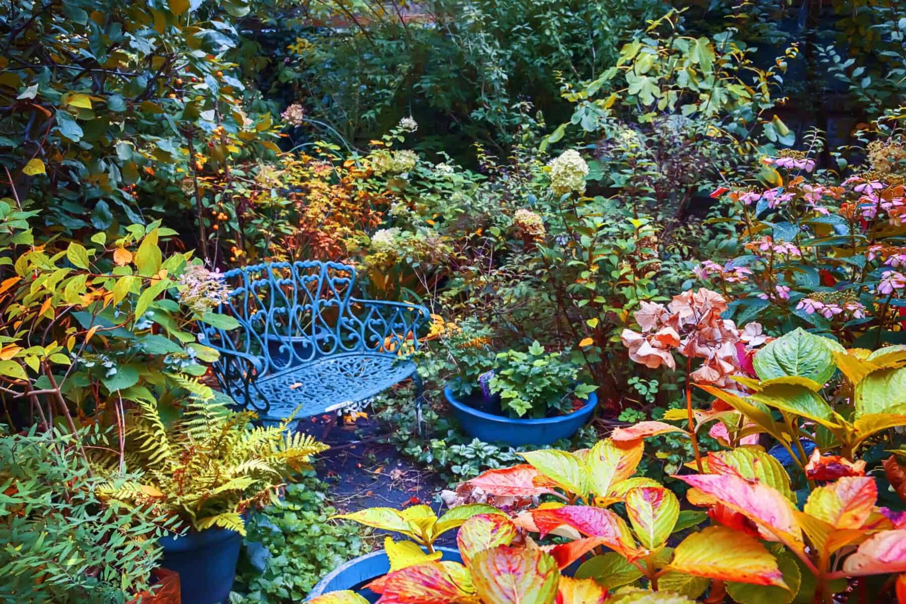 Autumn Garden