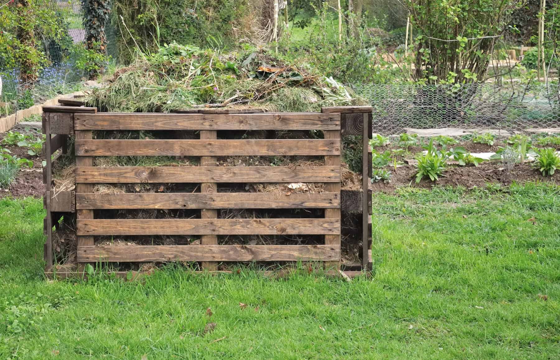 Compost Bin