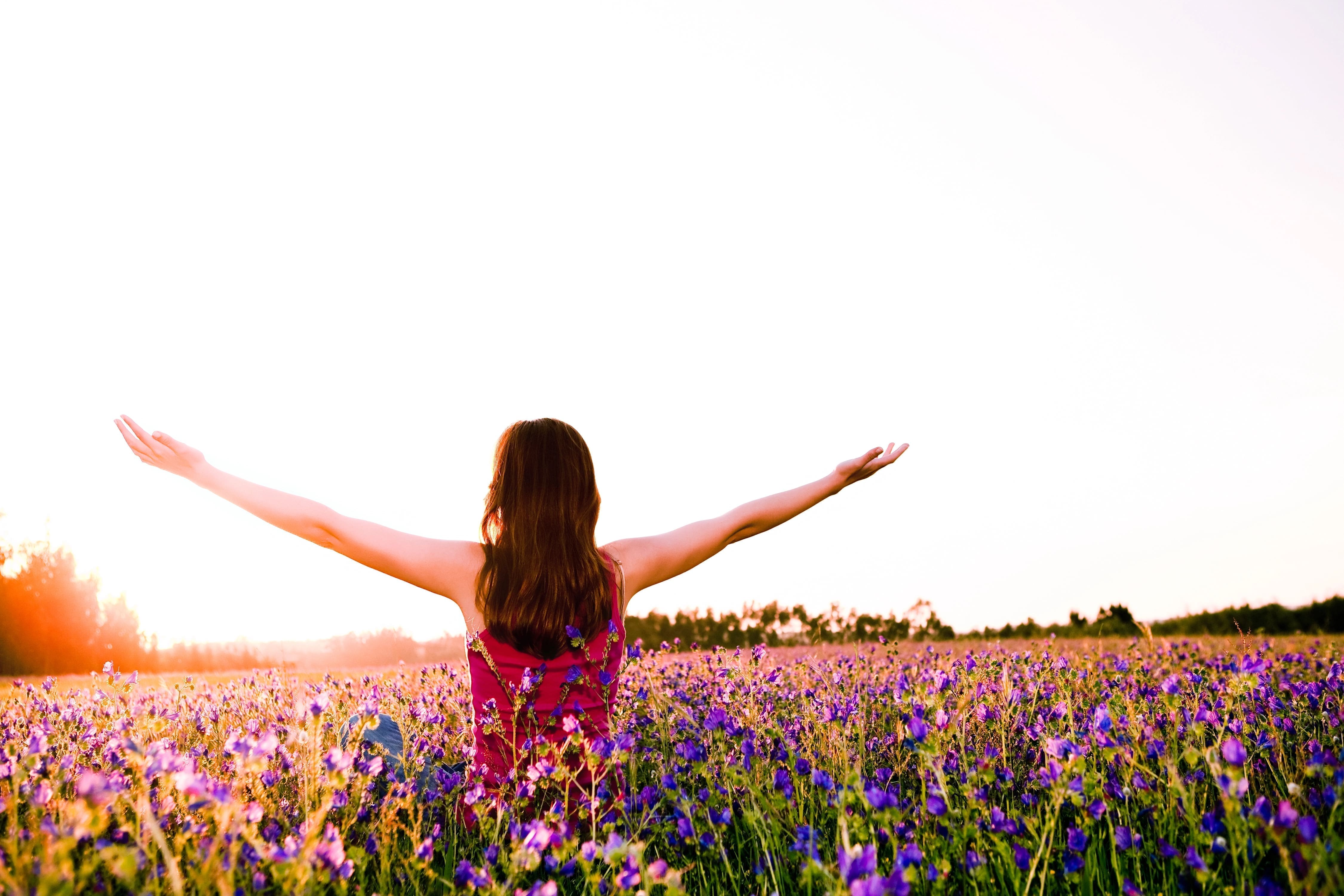 Field Full Of Flowers With Woman Walking Through Them