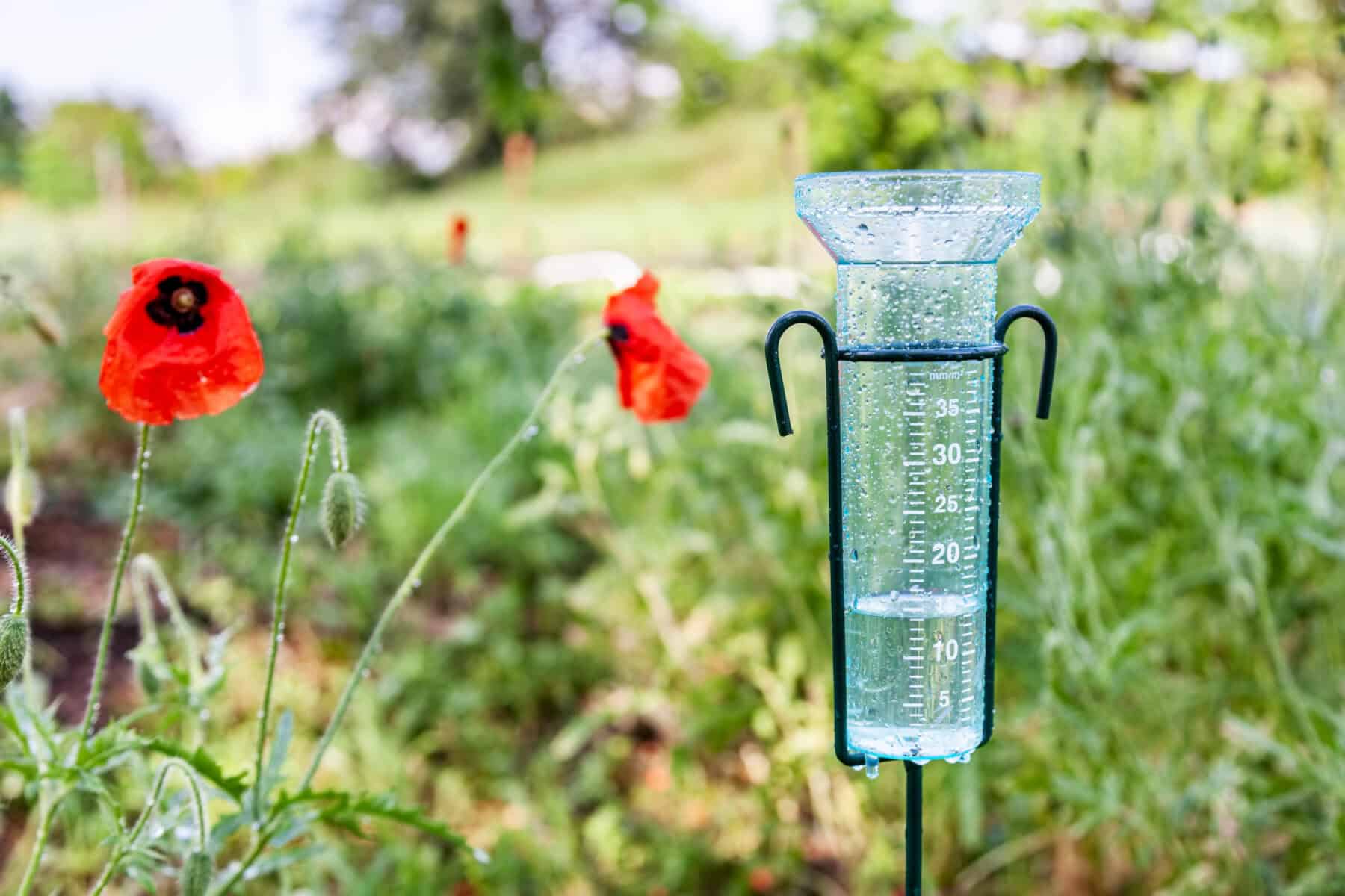 Rain Gauge For your garden in the fall