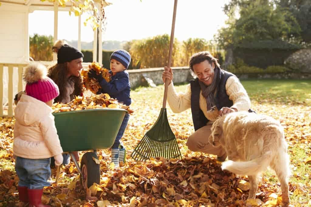raking leaves in the fall