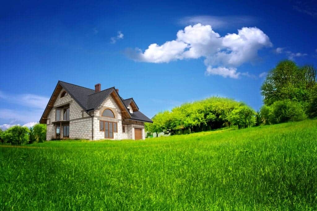 Taking care of grass in the fall